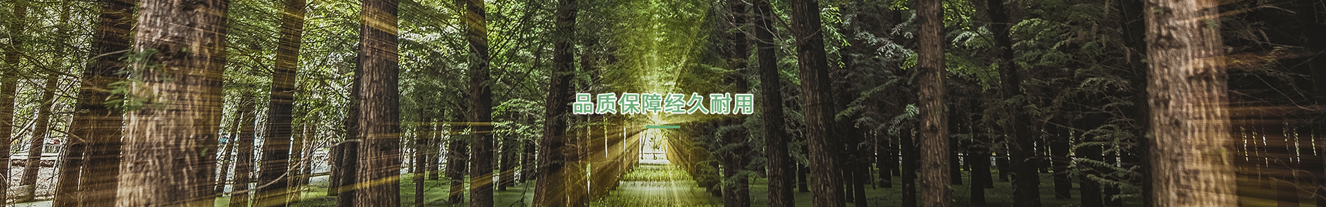 九游平台